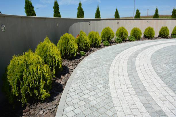 Reasons to Select Us for Your Driveway Paving Requirements in Darnestown, MD